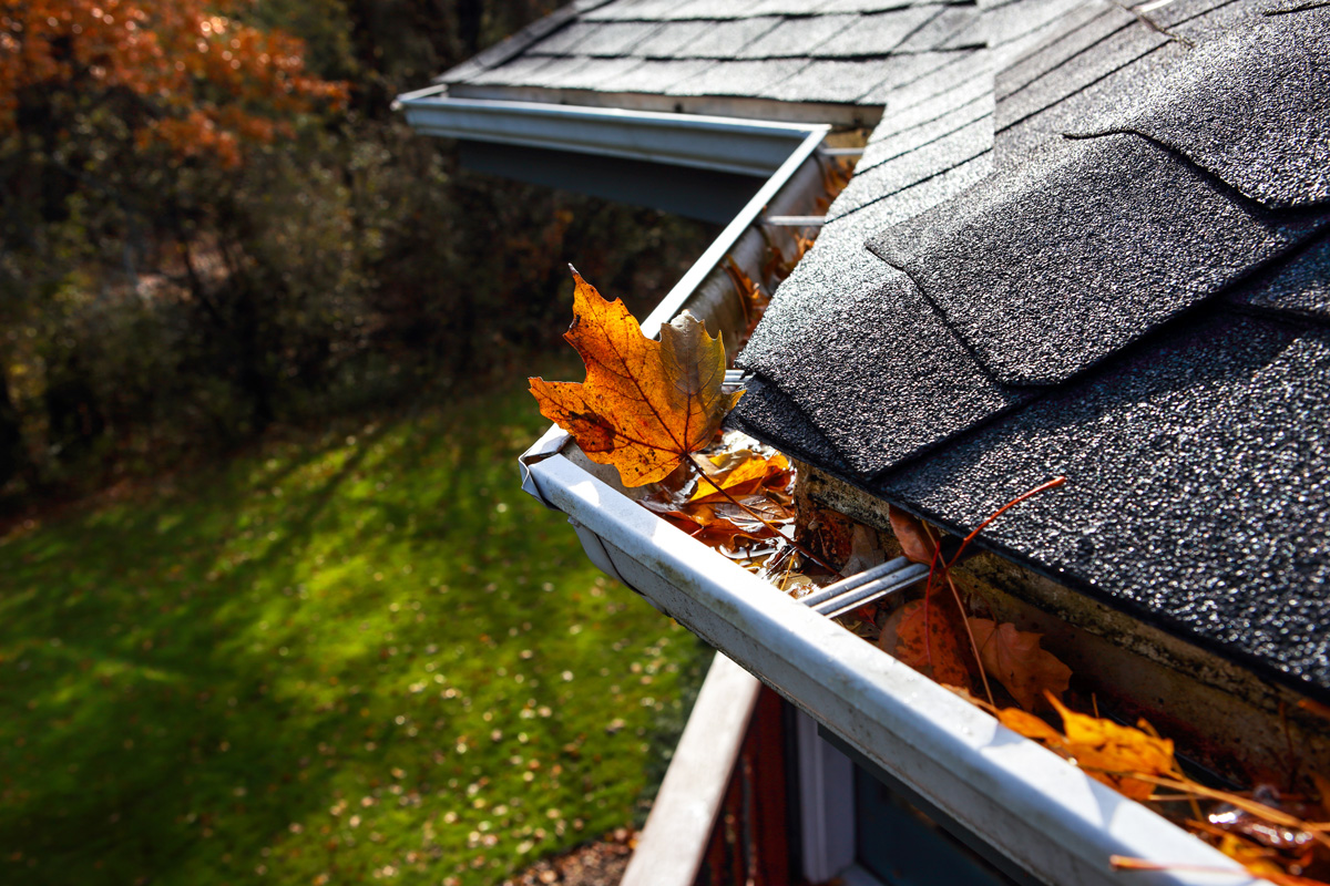 White home gutters full of orange leaves in Euclid.